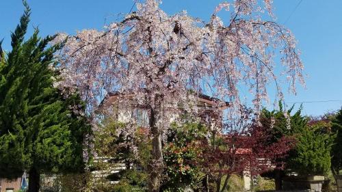 Aomori House | AomoriOutdoorHouse