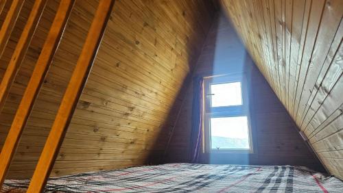 Terelj Other | Experience Apache Eco Camp in Terelj Nationalpark, Mongolia