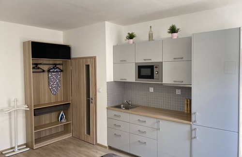 Ostrava City Centre Apartment | Cozy Apartment with Free WIFI, Breakfast, and Parking