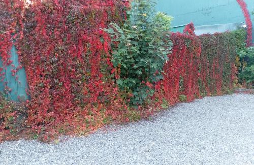 Valdivia Apartment | Comfortable Stay at Apart-Hotel Colonia-Königsberg in Valdivia