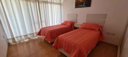 Colon Apartment | Cozy Apart Hotel Terra Nova: Oceanfront & Pet Friendly Stay
