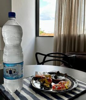 Province of Tucuman Apartment | Pet-Friendly Comfort at Apart Suipacha 1 – Rated 7.5/10