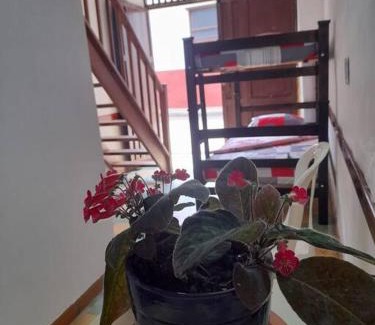 Zapatoca Apartment | Cozy Apartaestudio Near Parque Zapatoca - Pet & Child Friendly