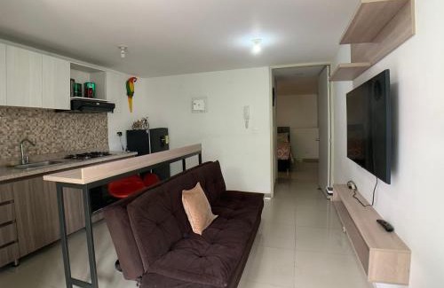 Ibague Apartment | Cozy Apartments in Ibagué with Spa and Pet-Friendly Perks