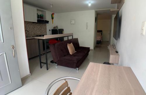 Ibague Apartment | Cozy Apartments in Ibagué with Spa and Pet-Friendly Perks