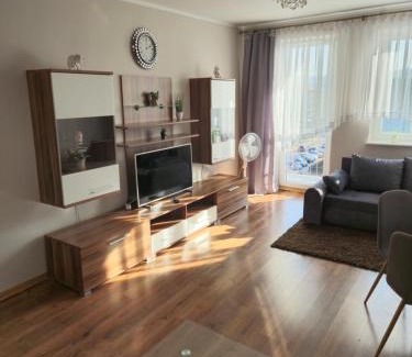 Reda Apartment | Discover Apartament Łąkowa: Pet & Child Friendly Haven