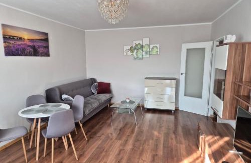 Reda Apartment | Discover Apartament Łąkowa: Pet & Child Friendly Haven