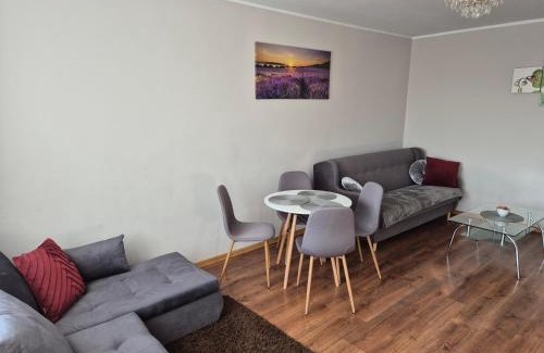 Reda Apartment | Discover Apartament Łąkowa: Pet & Child Friendly Haven