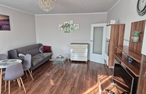 Reda Apartment | Discover Apartament Łąkowa: Pet & Child Friendly Haven