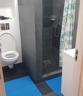 Tirgu Mures Apartment | Top-Rated Apartament 1 Budiu: Pet-Friendly & Accessible