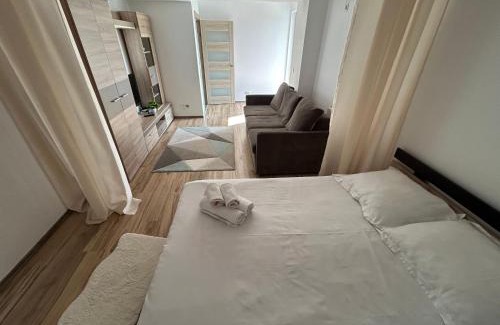 Iasi Apartment | Apartament 1 camera Rivers Towers cu parcare privată