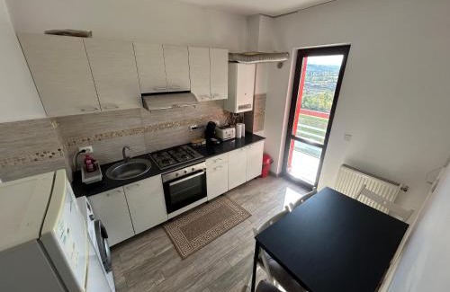 Iasi Apartment | Apartament 1 camera Rivers Towers cu parcare privată