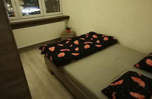 Alba Iulia Apartment | Pet-Friendly 2-Room Apartment near Cetatea Alba Carolina