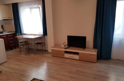 Tirgu Mures Apartment | Comfortable Apartament 2 Central: Pet & Child Friendly Stay