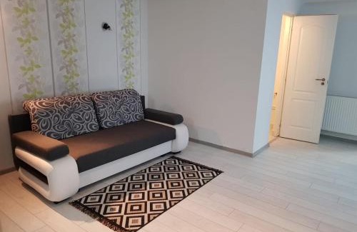 Tirgu Mures Apartment | Comfortable Apartament 2 Central: Pet & Child Friendly Stay