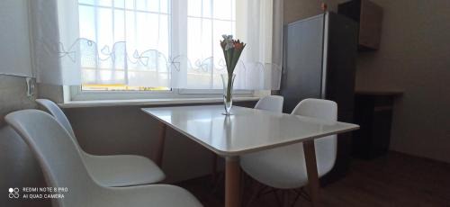 Lapalice Apartment | Pet-Friendly Apartments in Kartuzy, Poland - Rated 8.1/10