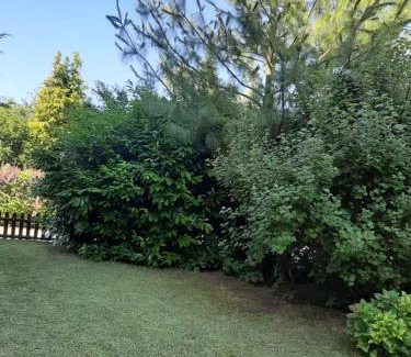 Krokowa Apartment | Family-Friendly Apartment with Garden & Pet Access