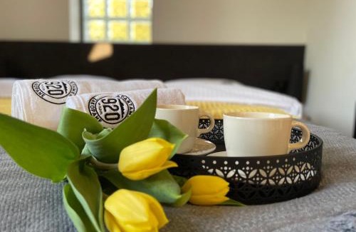 Zakopane Apartment | Top-rated Child-Friendly Stay at Apartament 920m n.p.m.