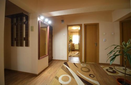 Hateg Apartment | Top-Rated Pet-Friendly Stay at Apartament Alessi