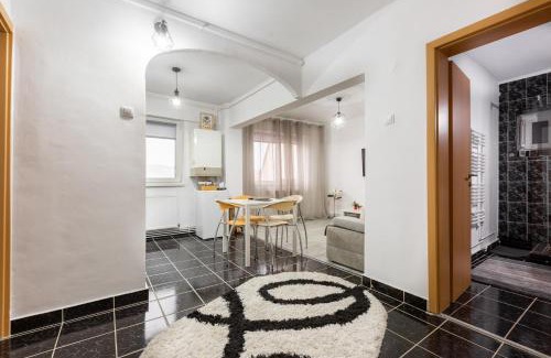 Medias Apartment | Central Apartment Alexandru: Child-Friendly Comfort Awaits