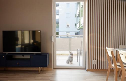 Psie Pole Apartment | Pet-Friendly Stay at Apartament Amerigo - Rated 9.6/10