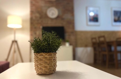 Siedlce Apartment | Discover Apartament Bema 10: Pet-Friendly & Family-Ready