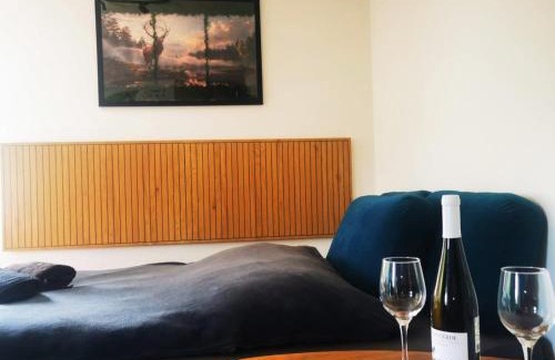 Chelmsko Slaskie Apartment | Pet-Friendly Comfort at Apartament Chełmsko Śląskie
