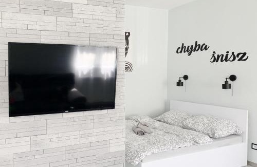 Lancut Apartment | Pet-Friendly Apartment Chyba Śnisz in Łańcut, Rated 9.2!