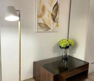 Hunedoara Apartment | Apartament Corvin 1