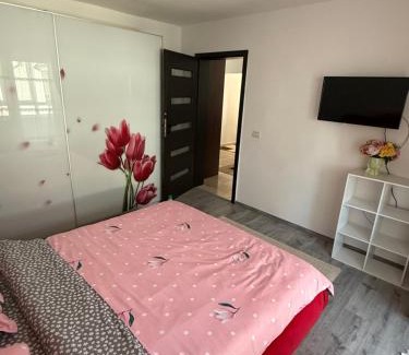 Dragasani Apartment | Cozy Apartment: Guest Rated 9.7 with Pet & Child Amenities