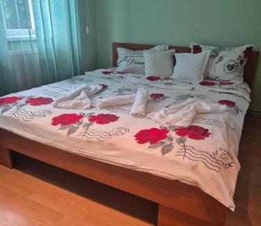 Timisoara Apartment | Pet-Friendly Retreat at Apartament Crăciunița - 9.6 Rating