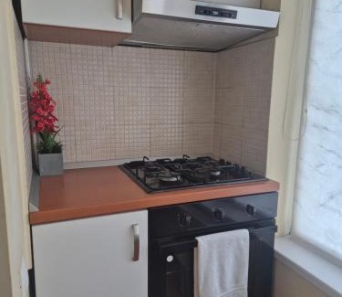 Timisoara Apartment | Pet-Friendly Retreat at Apartament Crăciunița - 9.6 Rating