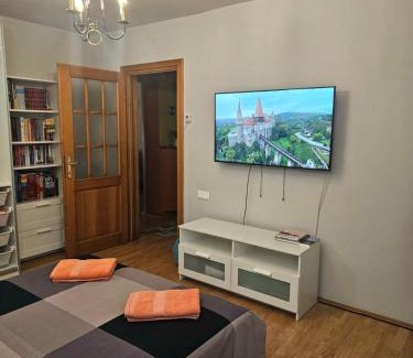Emanoil Gojdu House | Budget-Friendly Stay at Apartament David Deva - 9.8/10 Rated