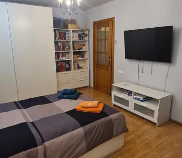 Emanoil Gojdu House | Budget-Friendly Stay at Apartament David Deva - 9.8/10 Rated