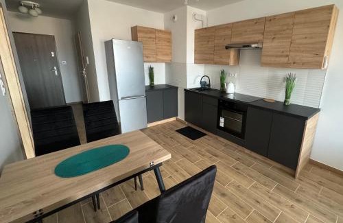 Zmigrod Apartment | Top-Rated Apartament Dolina Baryczy: Family & Pet Friendly