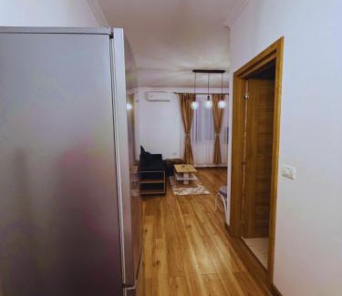 Sanmartin Apartment | Apartament DVR Baile Felix