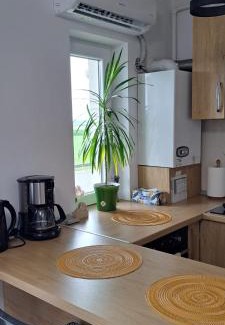 Sibiu Apartment | Highly Rated Apartament Elena: Family & Accessible Features