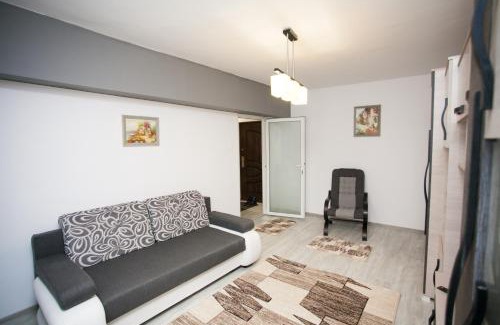 Tirgu Mures Apartment | Guest-Rated 9.8: Family-Friendly Apartament Elena Awaits