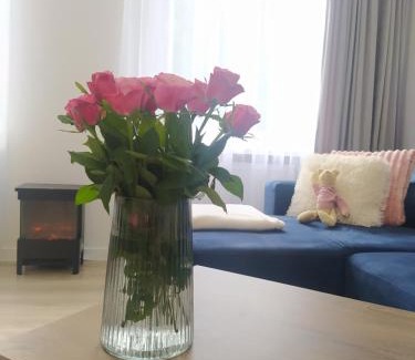 Ladek-Zdroj Apartment | Family-Friendly Apartament FANABERIA in Lądek Zdrój