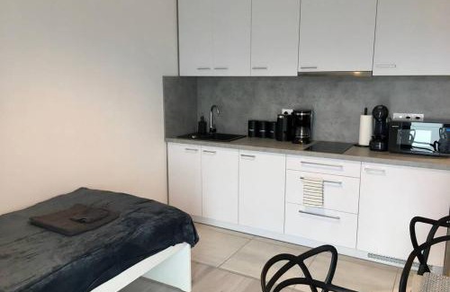 Rybnik Apartment | Pet-Friendly Retreat at Apartament Fibra Bounty - Rated 9.3