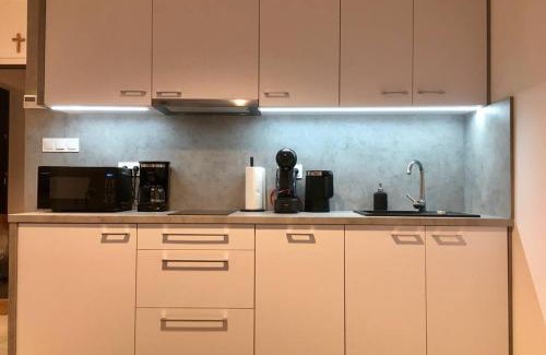 Rybnik Apartment | Pet-Friendly Apartment Fibra Brownie with Top Guest Ratings