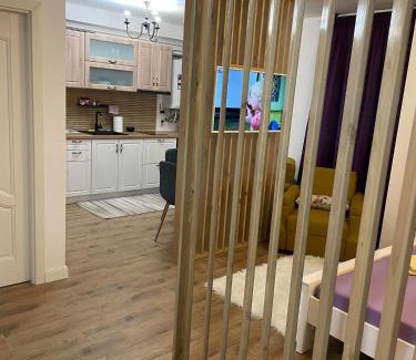 Baia Mare Apartment | Top-Rated Family-Friendly Stay at Apartament Gabriela 39