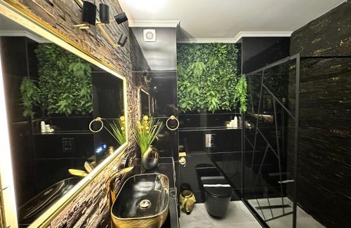 Iasi Apartment | Apartament Green Park