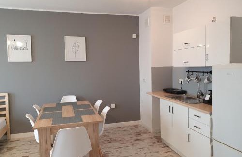 Wladyslawowo Apartment | Apartament Grey Goose V