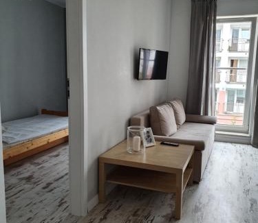 Wladyslawowo Apartment | Apartament Grey Goose V