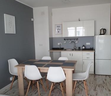 Wladyslawowo Apartment | Apartament Grey Goose V