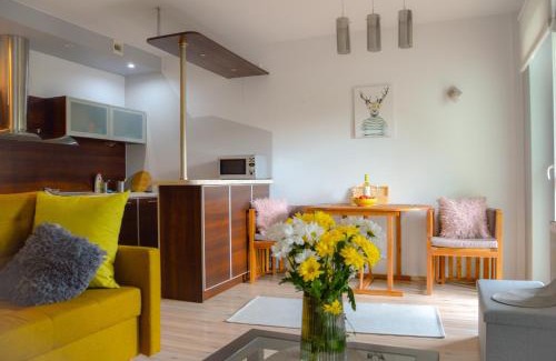 Osiedle Grunwaldzkie Apartment | Perfect Family Retreat at Apartament Grunwaldzka przy Łynie