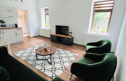 Medias Apartment | Cozy King Medias Apartment – Rated 9.4, Pet Friendly