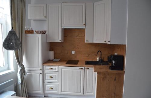 Polczyn-Zdroj Apartment | Pet-Friendly Retreat: Apartament Kominkowy przy Parku