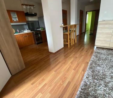 Rzeszow Apartment | Pet-Friendly Stay at Apartament Krośnieńska - Rated 9.2/10
